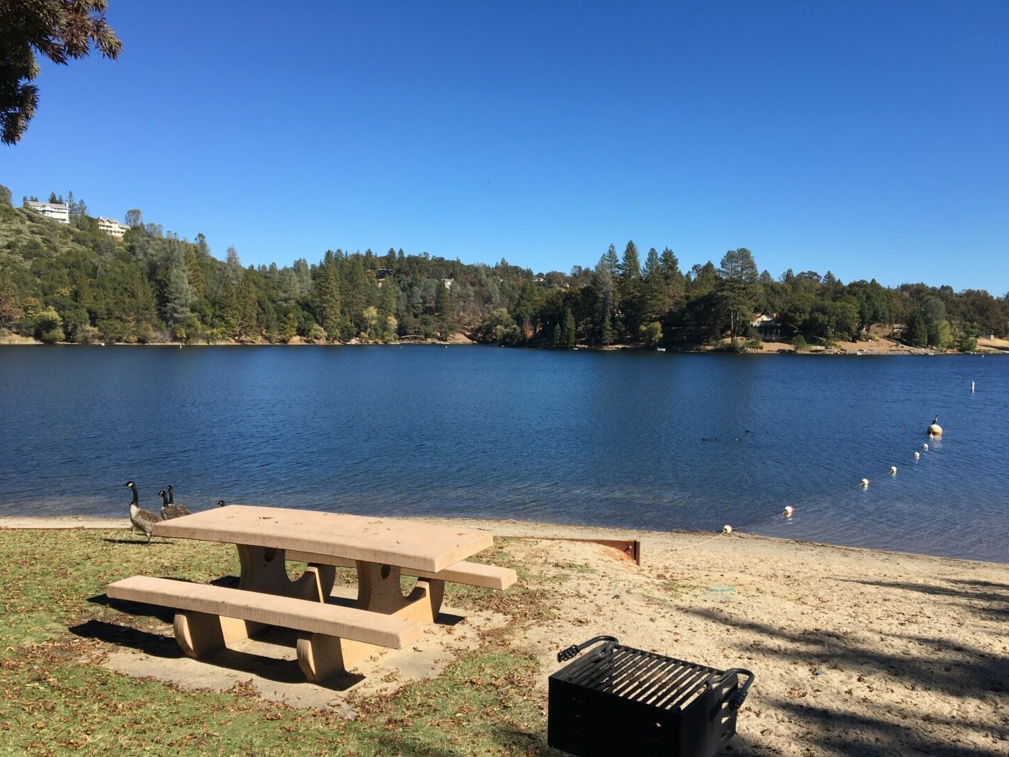 A picnic table and bench on the beach near water.